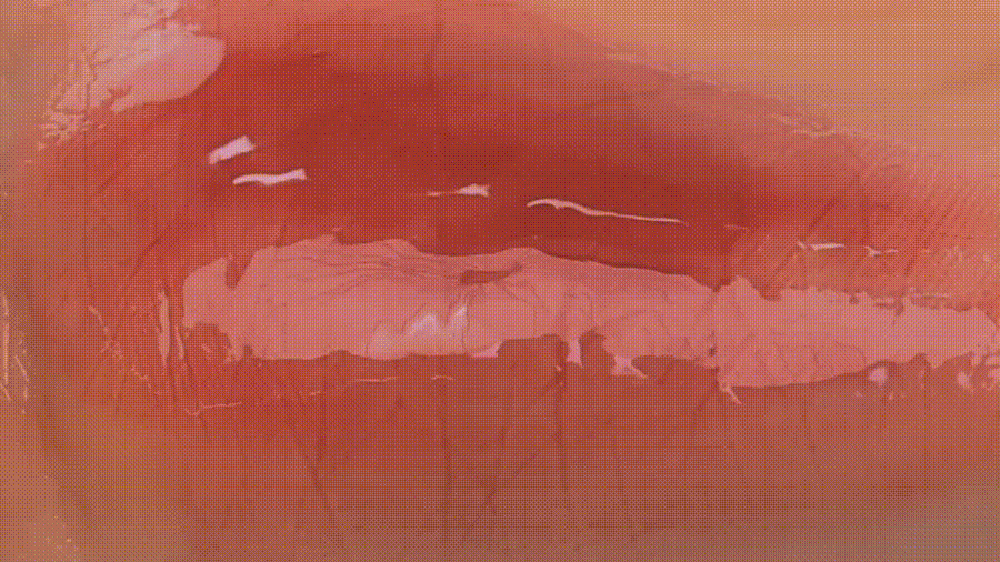Tuotekuva 5